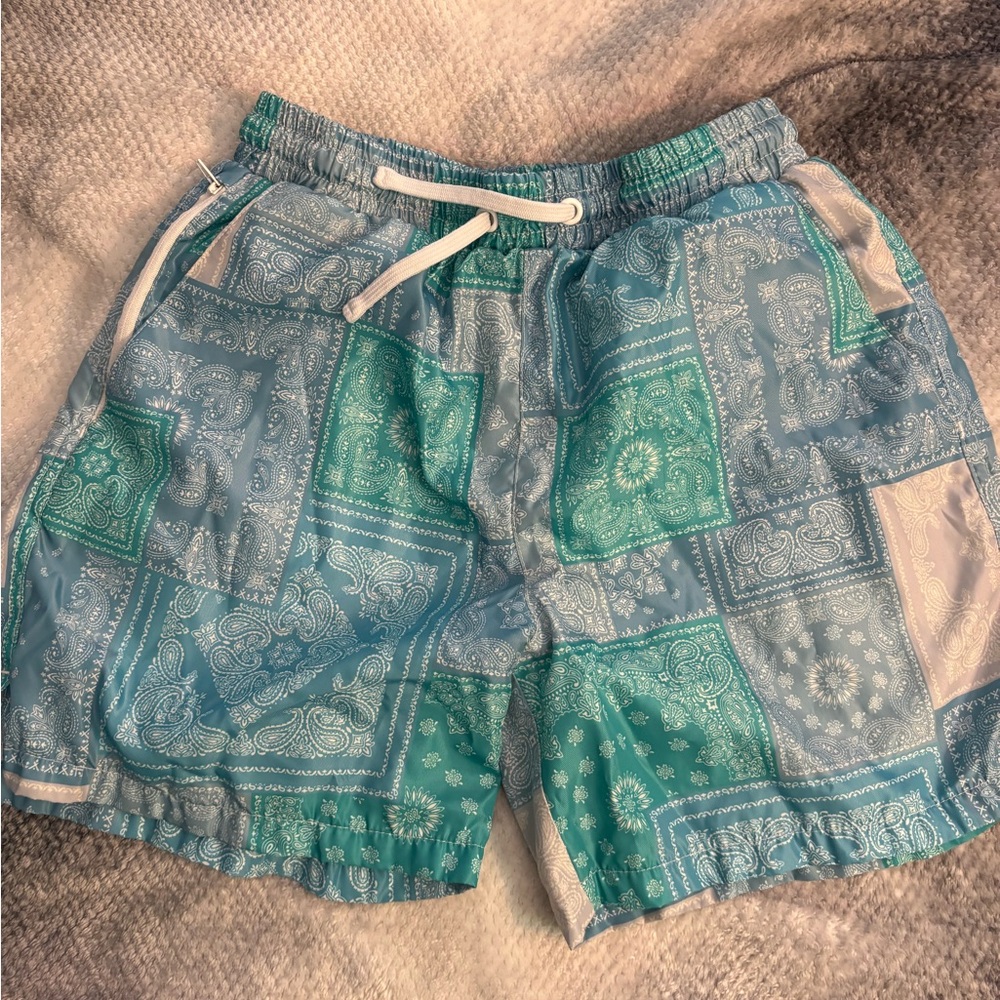 Patterned Blue and Green Men's Shorts